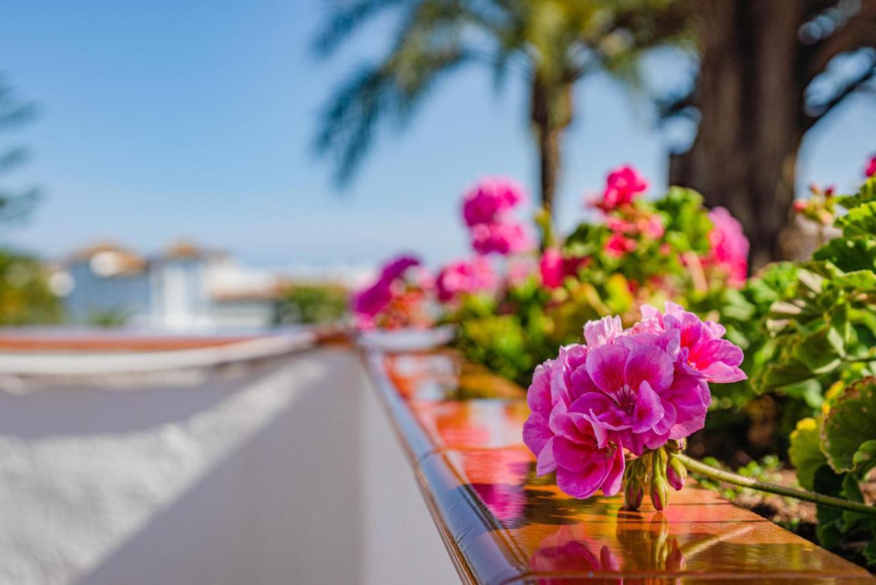 Lirios Village Marbella Exterior photo
